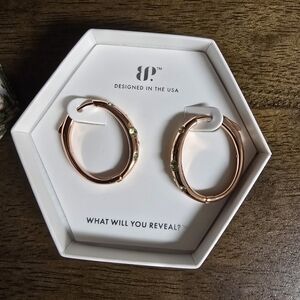 Elegant Rose Gold Hoop Earrings